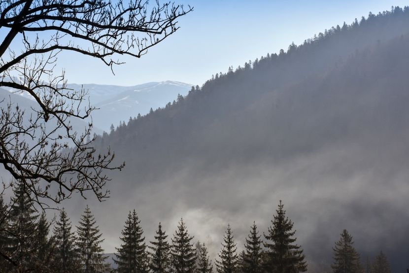  - 08 - Sinaia - Dichiu - Bolboci - Cheile Tătarului - aprilie 2019