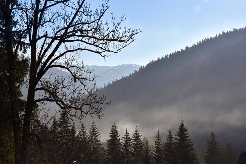  - 08 - Sinaia - Dichiu - Bolboci - Cheile Tătarului - aprilie 2019