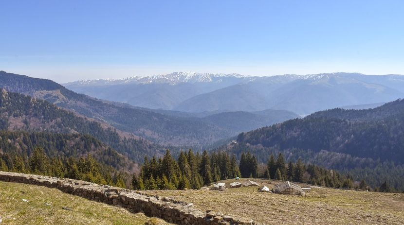  - 08 - Sinaia - Dichiu - Bolboci - Cheile Tătarului - aprilie 2019
