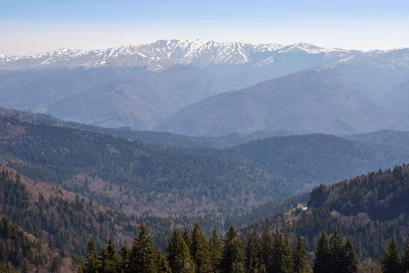 - 08 - Sinaia - Dichiu - Bolboci - Cheile Tătarului - aprilie 2019