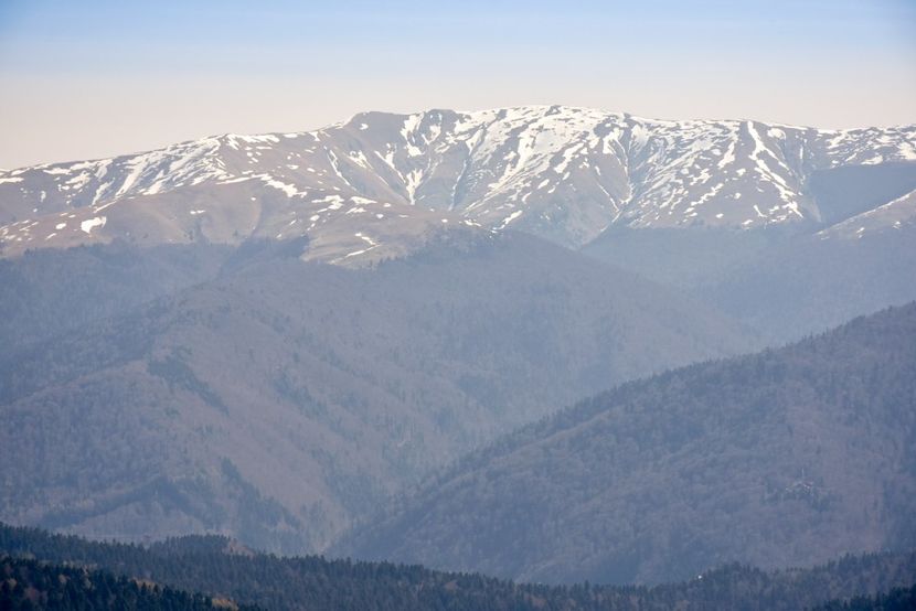 - 08 - Sinaia - Dichiu - Bolboci - Cheile Tătarului - aprilie 2019