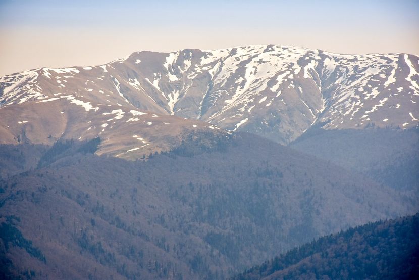  - 08 - Sinaia - Dichiu - Bolboci - Cheile Tătarului - aprilie 2019