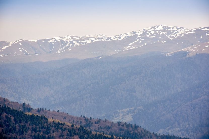  - 08 - Sinaia - Dichiu - Bolboci - Cheile Tătarului - aprilie 2019