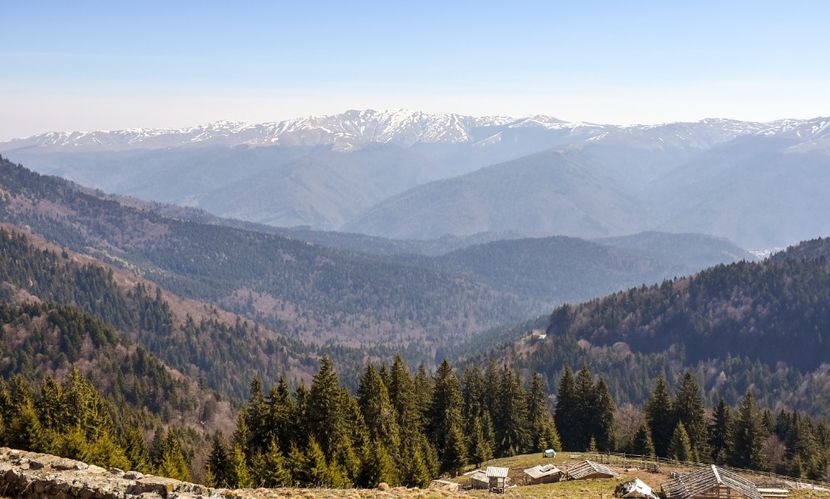  - 08 - Sinaia - Dichiu - Bolboci - Cheile Tătarului - aprilie 2019