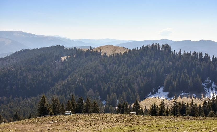  - 08 - Sinaia - Dichiu - Bolboci - Cheile Tătarului - aprilie 2019