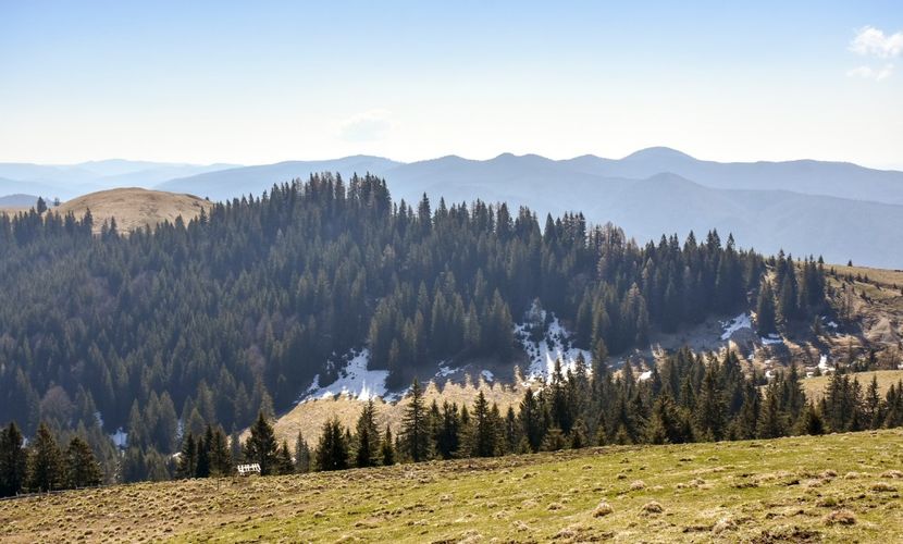  - 08 - Sinaia - Dichiu - Bolboci - Cheile Tătarului - aprilie 2019