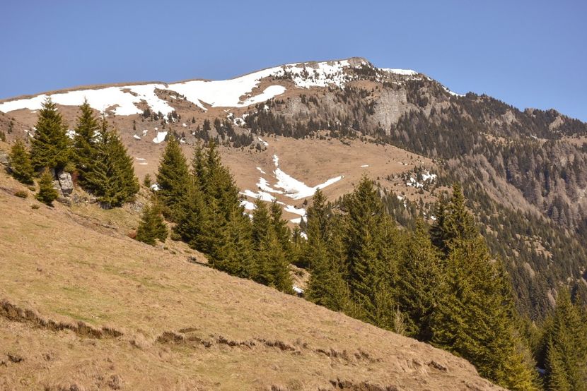  - 08 - Sinaia - Dichiu - Bolboci - Cheile Tătarului - aprilie 2019