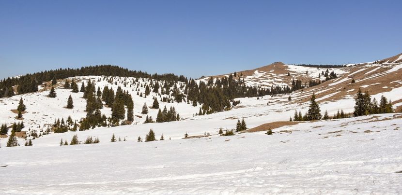  - 08 - Sinaia - Dichiu - Bolboci - Cheile Tătarului - aprilie 2019