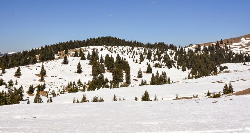  - 08 - Sinaia - Dichiu - Bolboci - Cheile Tătarului - aprilie 2019