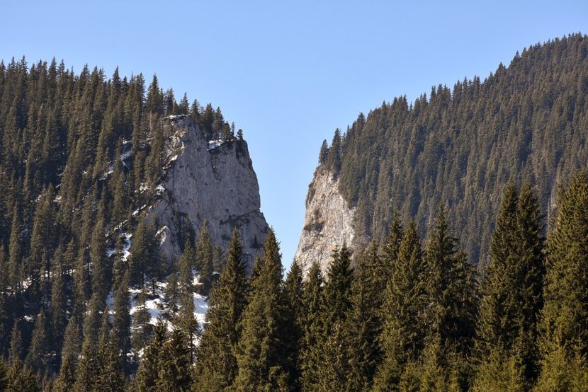 - 08 - Sinaia - Dichiu - Bolboci - Cheile Tătarului - aprilie 2019