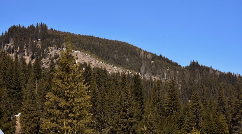  - 08 - Sinaia - Dichiu - Bolboci - Cheile Tătarului - aprilie 2019