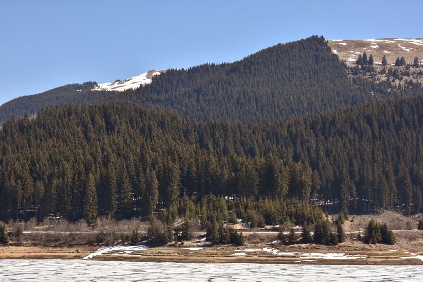  - 08 - Sinaia - Dichiu - Bolboci - Cheile Tătarului - aprilie 2019