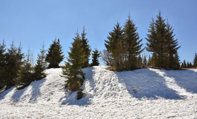  - 08 - Sinaia - Dichiu - Bolboci - Cheile Tătarului - aprilie 2019