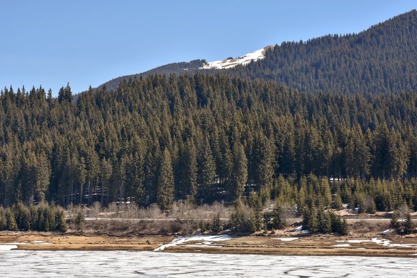  - 08 - Sinaia - Dichiu - Bolboci - Cheile Tătarului - aprilie 2019