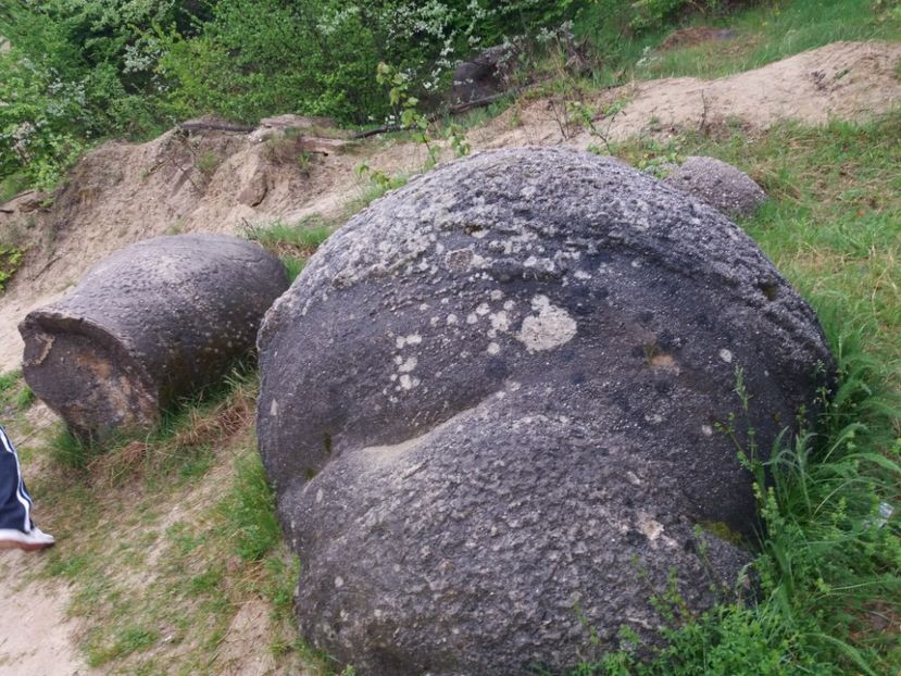  - Trovanții de la Costești