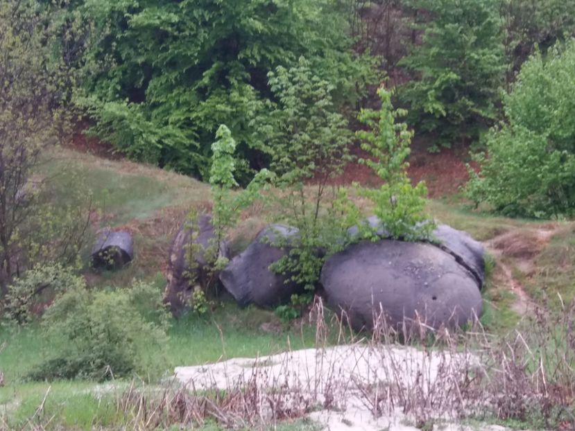  - Trovanții de la Costești