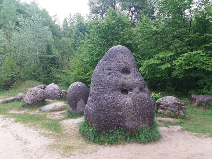  - Trovanții de la Costești