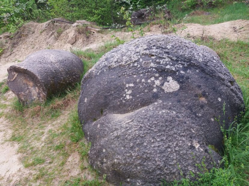  - Trovanții de la Costești