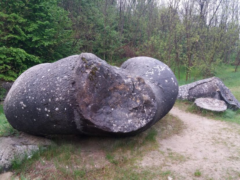  - Trovanții de la Costești