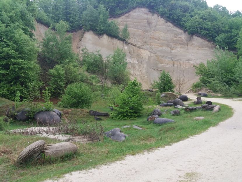  - Trovanții de la Costești