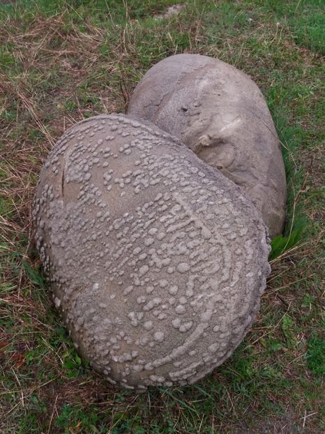  - Trovanții de la Costești