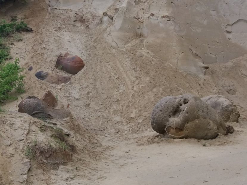  - Trovanții de la Costești