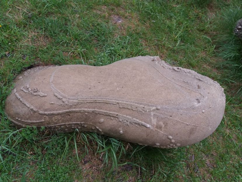  - Trovanții de la Costești