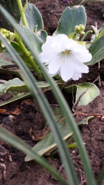  - Primavara 2019-2022