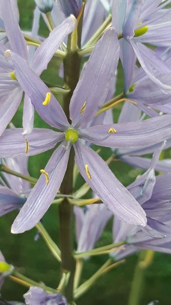  - Primavara 2019-2022