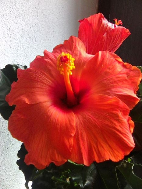 Photo0783 - Hibi 2019