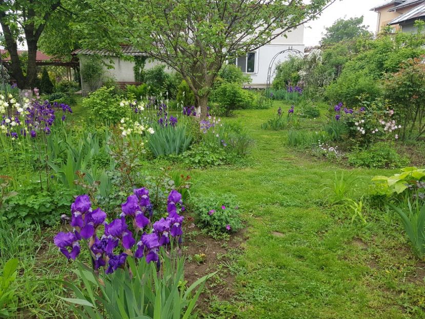  - 2019 Mai Idilic Garden