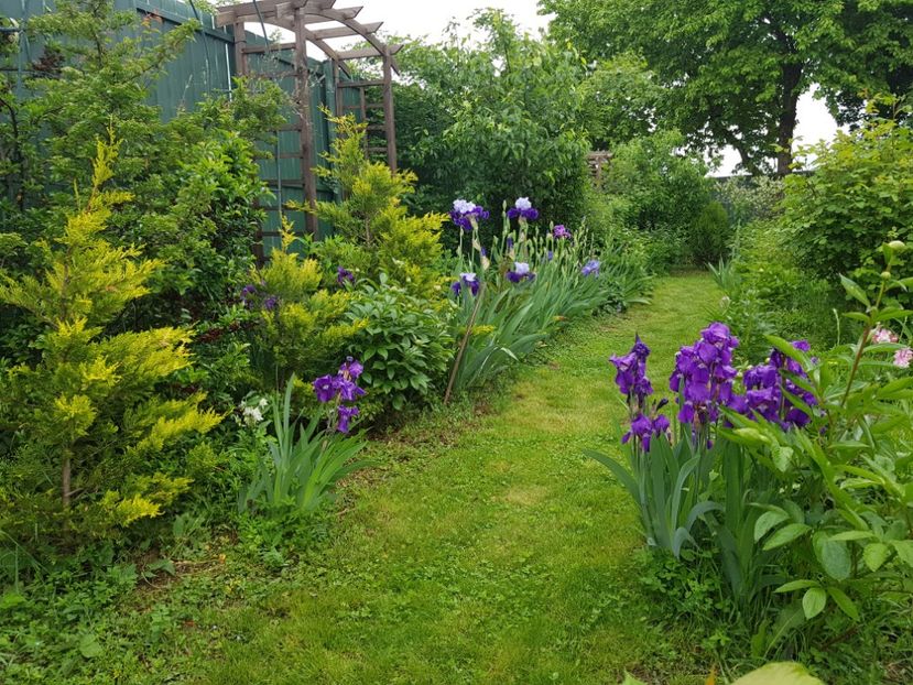  - 2019 Mai Idilic Garden