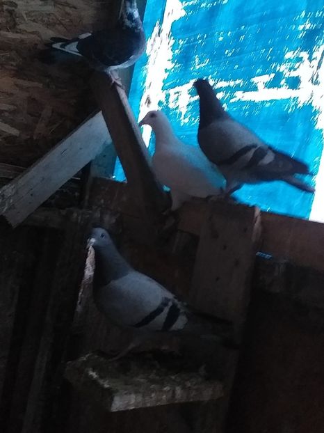 IMG-20190418-WA0003 - Mai 2019