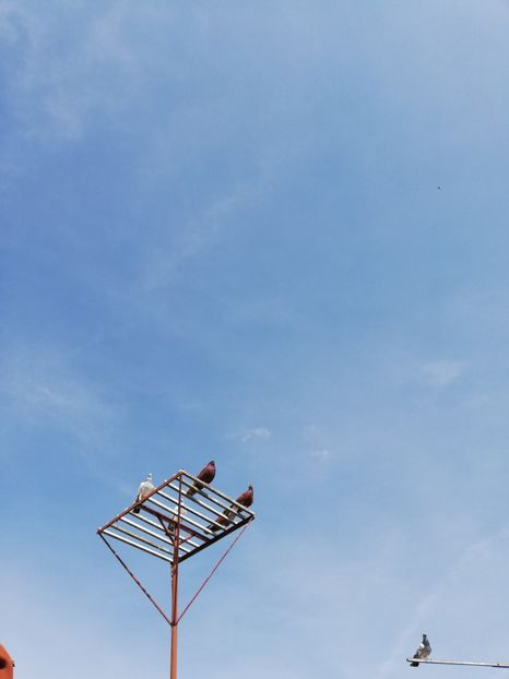  - Budapesta și Targoviste