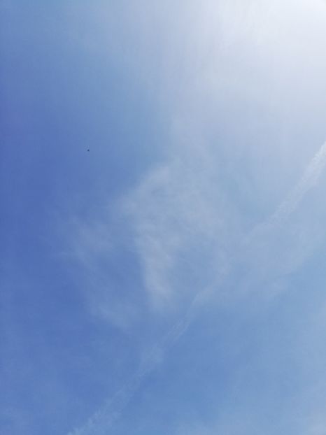  - Budapesta și Targoviste