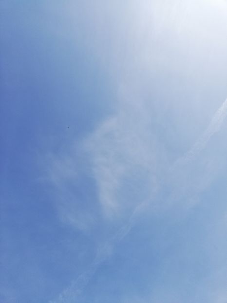  - Budapesta și Targoviste