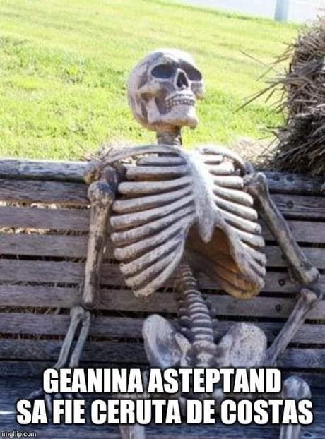  - Sezonul 5 insula iubirii - memes 1