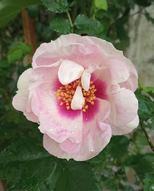 Mai 2019 - Eyes For You