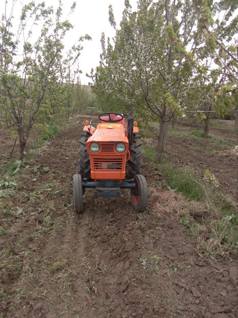  - Tractoras KUBOTA