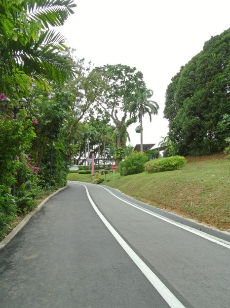  - 09 - Singapore - Orașul Leilor