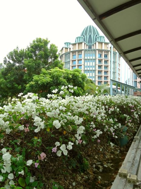  - 09 - Singapore - Orașul Leilor
