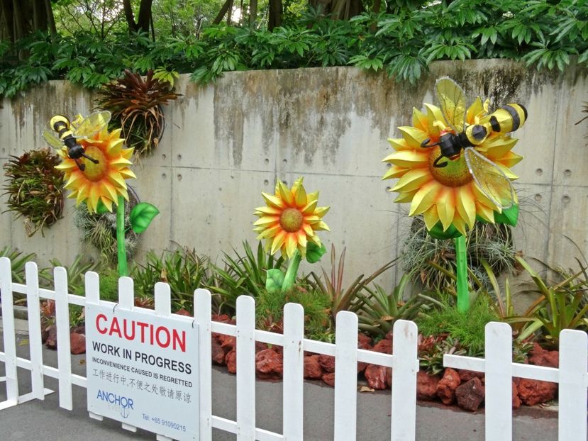  - 09 - Singapore - Orașul Leilor