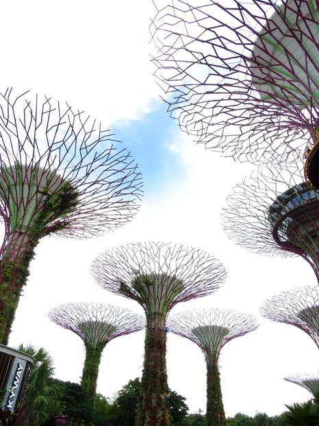  - 09 - Singapore - Orașul Leilor
