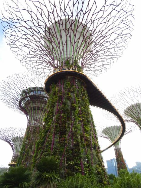  - 09 - Singapore - Orașul Leilor