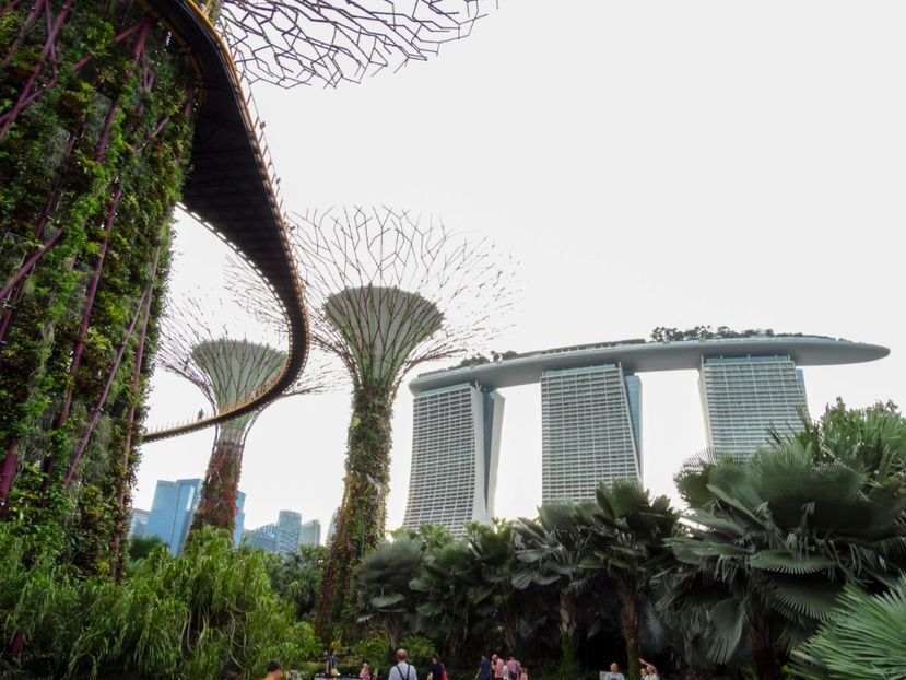 - 09 - Singapore - Orașul Leilor