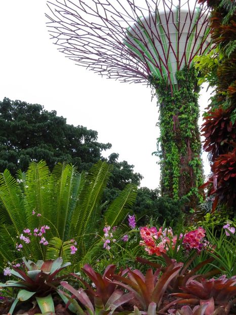  - 09 - Singapore - Orașul Leilor