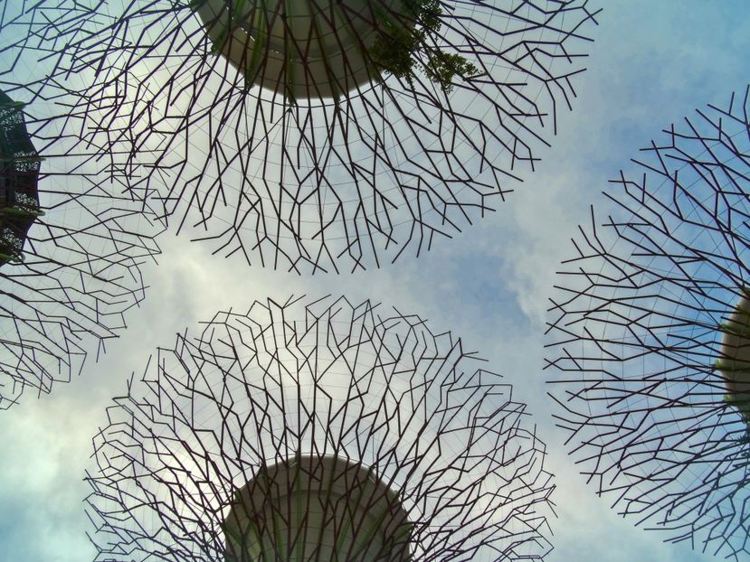  - 09 - Singapore - Orașul Leilor