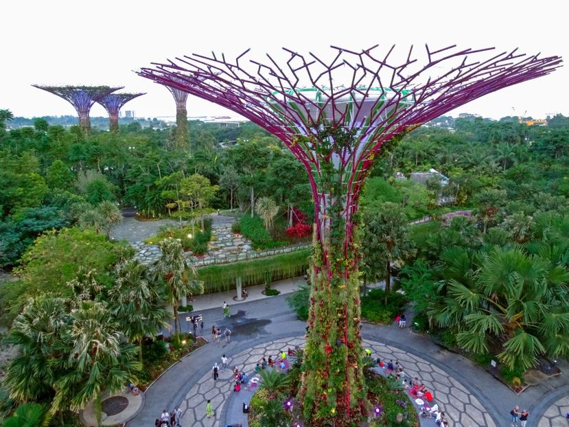 Gradinile suspendate - 09 - Singapore - Orașul Leilor
