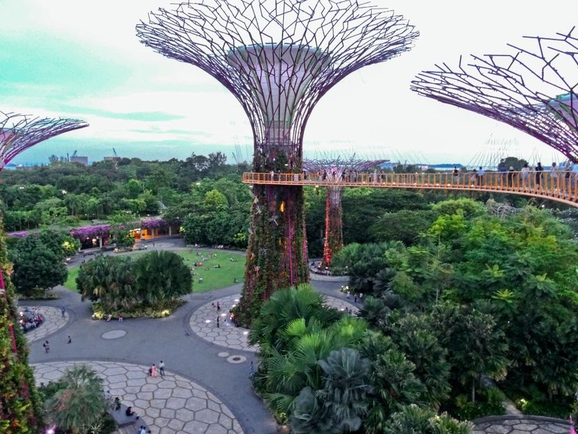  - 09 - Singapore - Orașul Leilor