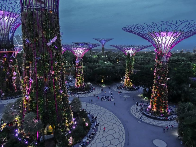  - 09 - Singapore - Orașul Leilor